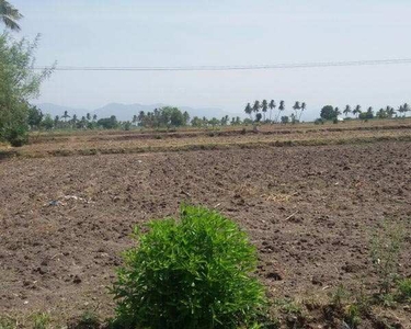 Agricultural Land 72 Bigha for Sale in