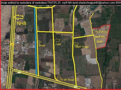 Residential Plot 750725 Sq.ft. for Sale in Ankhol, Vadodara