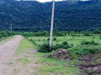 Agricultural Land 8 Acre for Sale in Madampatti, Coimbatore