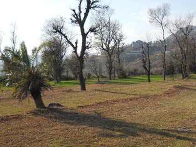Residential Plot 8 Acre for Sale in Chohla, Dharamshala