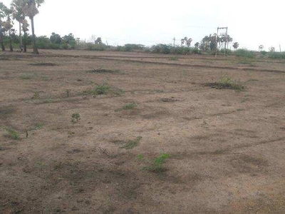 Agricultural Land 8 Ares for Sale in Sattur, Virudhunagar