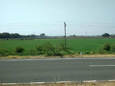 Agricultural Land 8 Bigha for Sale in Keshod, Junagadh