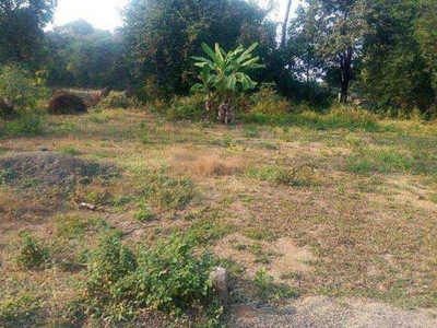 Agricultural Land 8000 Sq.ft. for Sale in