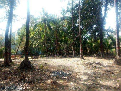 Agricultural Land 5850 Sq.ft. for Sale in Alibag, Raigad