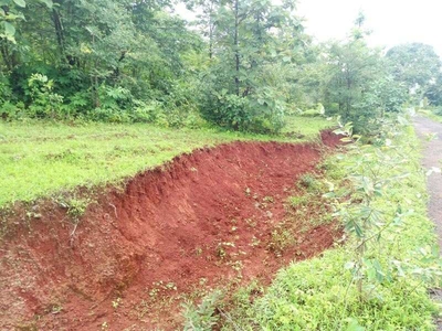 Agricultural Land 26 Ares for Sale in Alibag, Raigad
