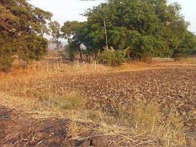 Agricultural Land 2 Acre for Sale in Alibag, Raigad