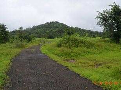 Agricultural Land 20000 Sq.ft. for Sale in Alibag, Raigad