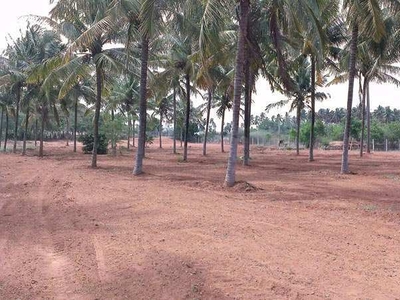 Agricultural Land 2 Acre for Sale in Madampatti, Coimbatore