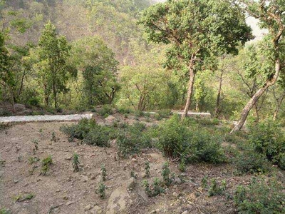 Commercial Land 25920 Sq.ft. for Sale in Jeoly Kot, Nainital