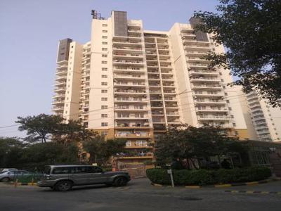 2190 sq ft 3 BHK 3T Apartment for rent in BPTP Freedom Park Life at Sector 57, Gurgaon by Agent Azuroin