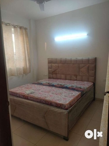 1 BHK Fully Furnished Flat For Rent In Sushma Grande