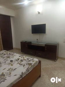 2bhk fully furnished for rent in sector 6 Panchkula