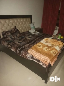 Fully furnished one room set ac sector 7 panchkula