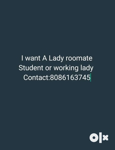 I looking for a lady roomate