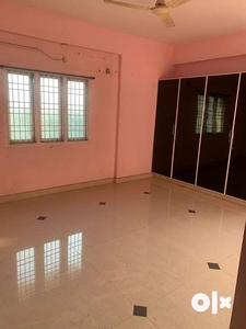 Luxury flat for rent which is well ventilated and near to highway