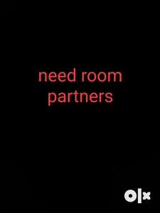 Need room partner