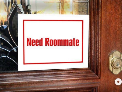 Roommate Required