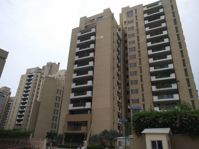 3000 sq ft 3 BHK 4T Apartment for rent in Emaar The Palm Springs at Sector 54, Gurgaon by Agent NA