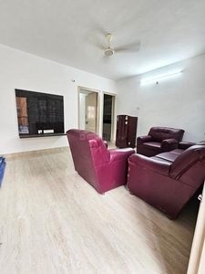 1 BHK Flat for rent in Koramangala, Bangalore - 600 Sqft
