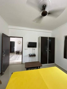 1000 sq ft 1 BHK 1T Apartment for rent in Godrej 24 at Hinjewadi, Pune by Agent seller