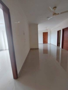 1170 sq ft 3 BHK 3T Apartment for rent in Gulmohar Renaissance at Wagholi, Pune by Agent Narsing A musale