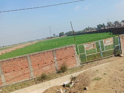 1260 Sq.Ft. Plot in Muhammadpur Patna