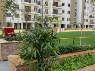 1843 sq ft 3 BHK 3T Completed property Apartment for sale at Rs 1.55 crore in Umang Winter Hills 11th floor in Shanti Park Dwarka, Delhi