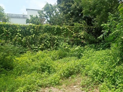 450 Sq.Yd. Plot in Dalanwala Dehradun