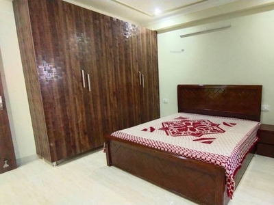 800 sq ft 1 BHK 1T BuilderFloor for rent in Project at Sushant LOK I, Gurgaon by Agent Sky high property
