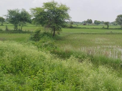 Commercial Land 4100 Sq.Yd. in Panagar Jabalpur