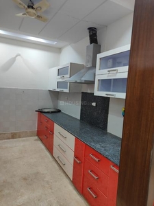 1 BHK Independent Floor for rent in Safdarjung Enclave, New Delhi - 700 Sqft