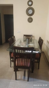 2 BHK Flat for rent in Sector 100, Noida - 1070 Sqft