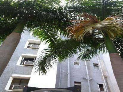 2 BHK Flat In Sowmya Apartments for Rent In Jamalia Bus Stop