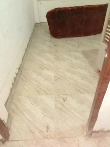 2 BHK Independent Floor for rent in Najafgarh, New Delhi - 800 Sqft