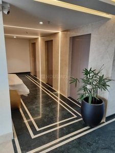 3 BHK Flat for rent in Noida Extension, Greater Noida - 1152 Sqft