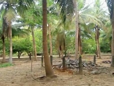 Agricultural Land 2 Acre for Sale in Panayur, Chennai