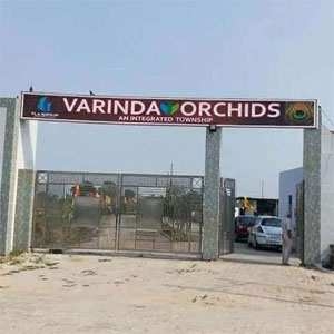Varinda Orchids
