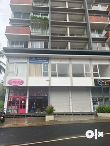 Brand new Two Bhk flat with dedicated parking slot and back up lift