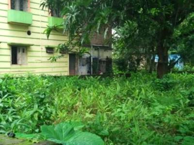 Residential Land For SALE 5 mins from Chakdaha