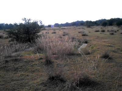 Residential Land For SALE 5 mins from Thiruvallur Road