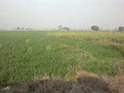 Residential Plot 100 Sq. Yards for Sale in Sujanpur, Kanpur