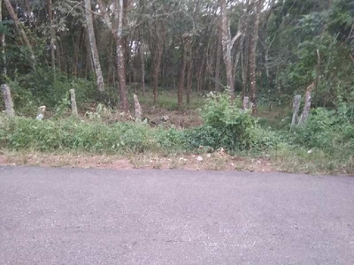 Residential Plot 14 Cent for Sale in Chengannur, Alappuzha
