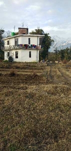 Residential Plot 30 Marla for Sale in Rajpur, Palampur