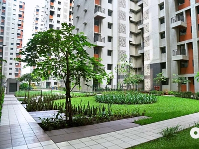 1 BHK Ready to move LODHA, Free Pick and Drop