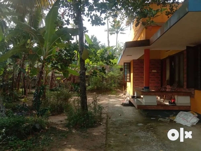 10 cent property and house for ( 40 lakhs)