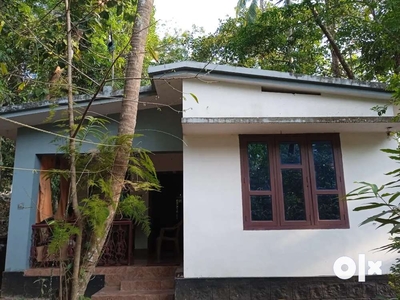 32 cent 3bhk house or flot for sale in Kummil Kadakkal