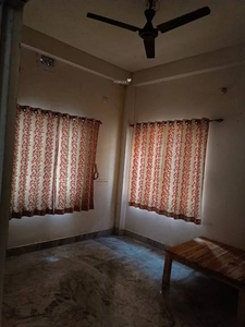 410 sq ft 1RK 1T Apartment for rent in Project at Joka, Kolkata by Agent krishna property