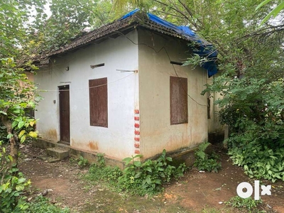 5 cent land with old house for sale in anaparampal thalavady