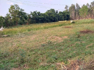 Agricultural Land 1 Acre for Sale in Bangarapet, Kolar