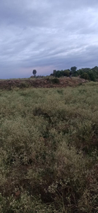 Agricultural Land 1 Acre for Sale in Berigai, Krishnagiri